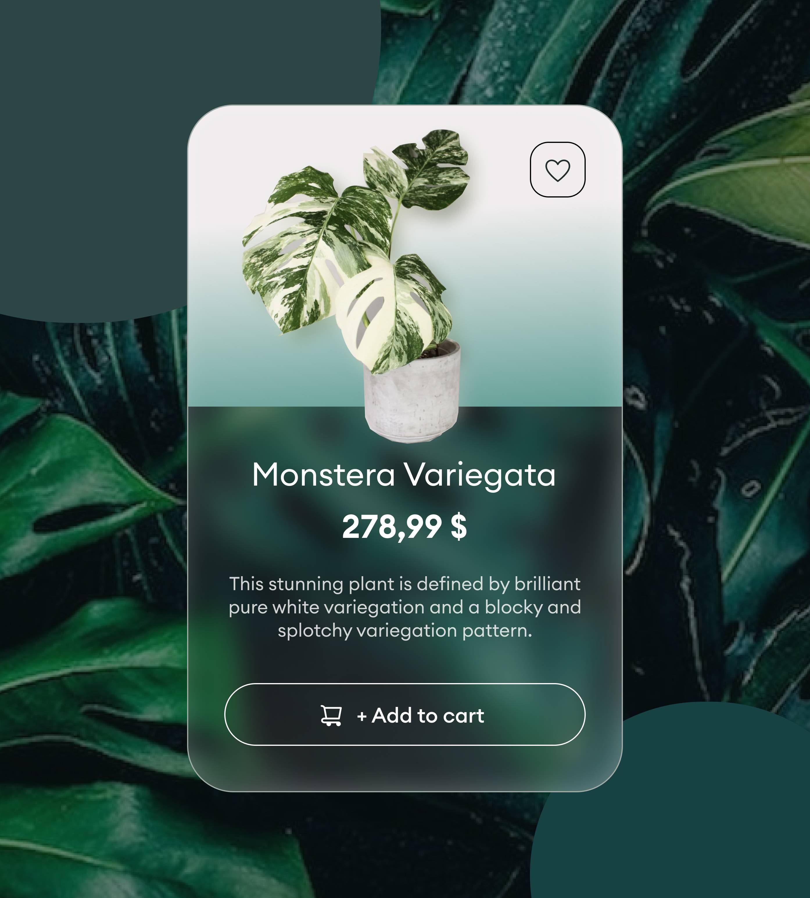 Daily UI Challenge #1