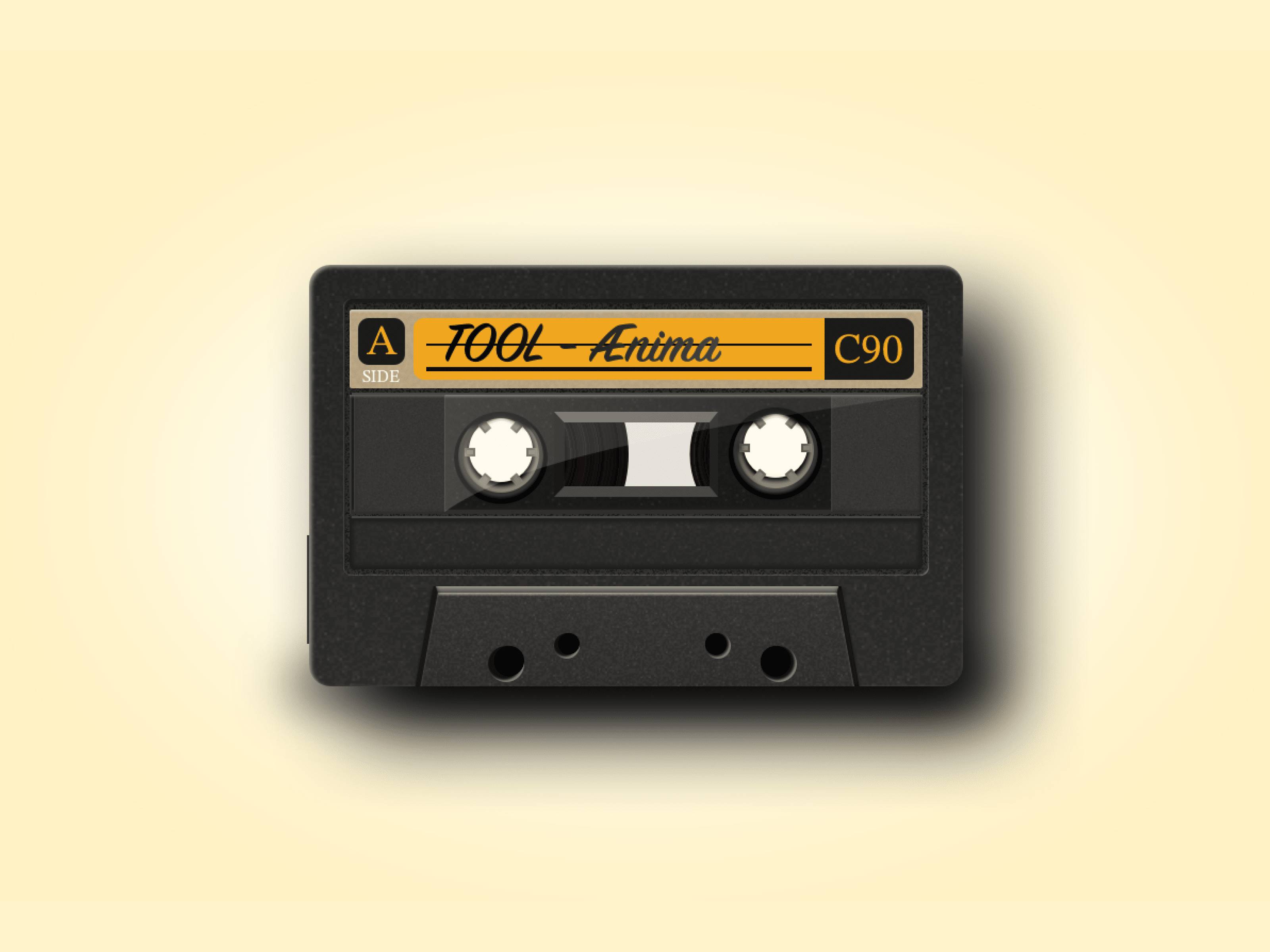 21: Cassette