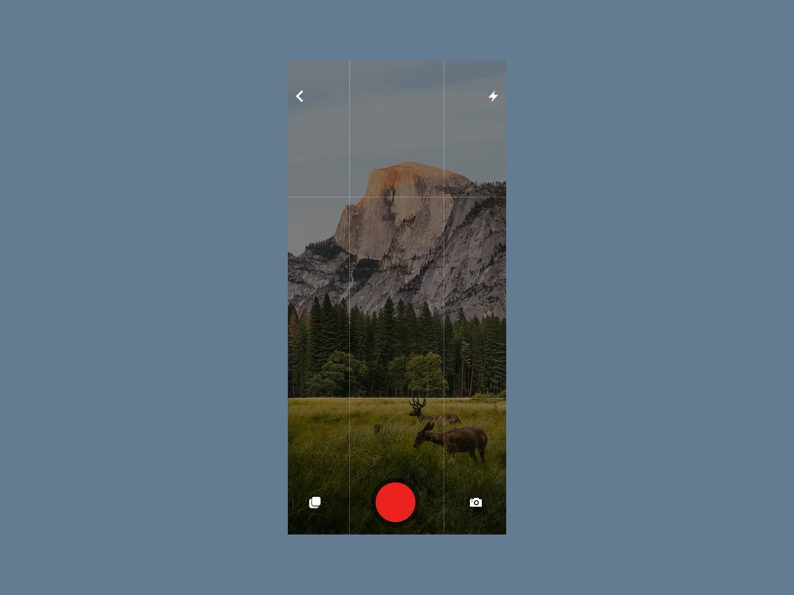 Daily UI Challenge #29