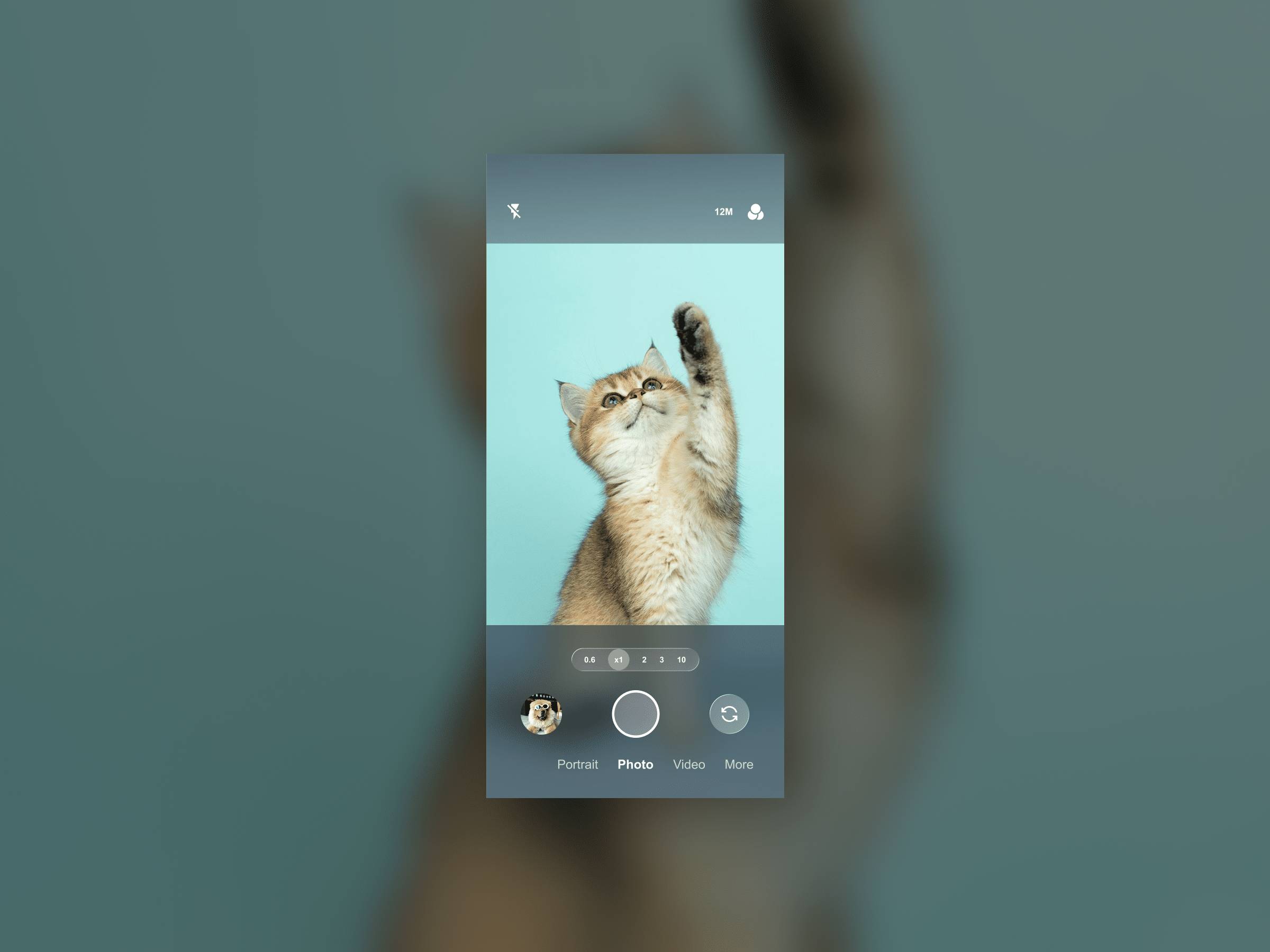 Daily UI Challenge #29