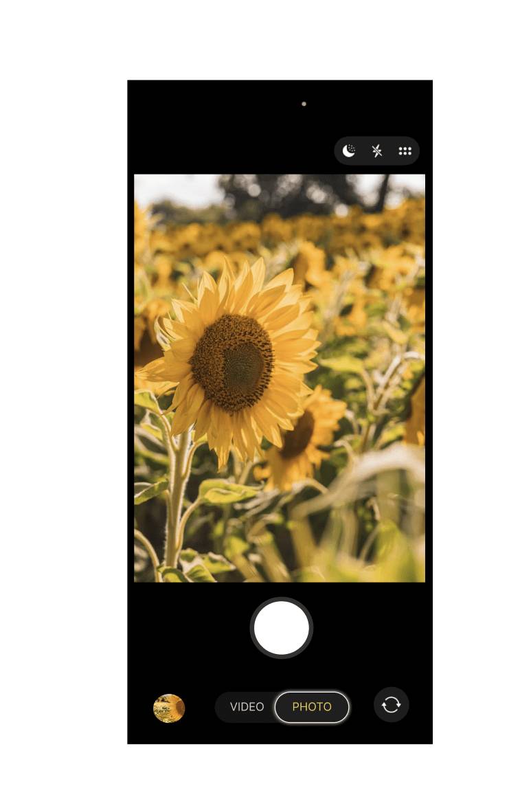 Daily UI Challenge #29