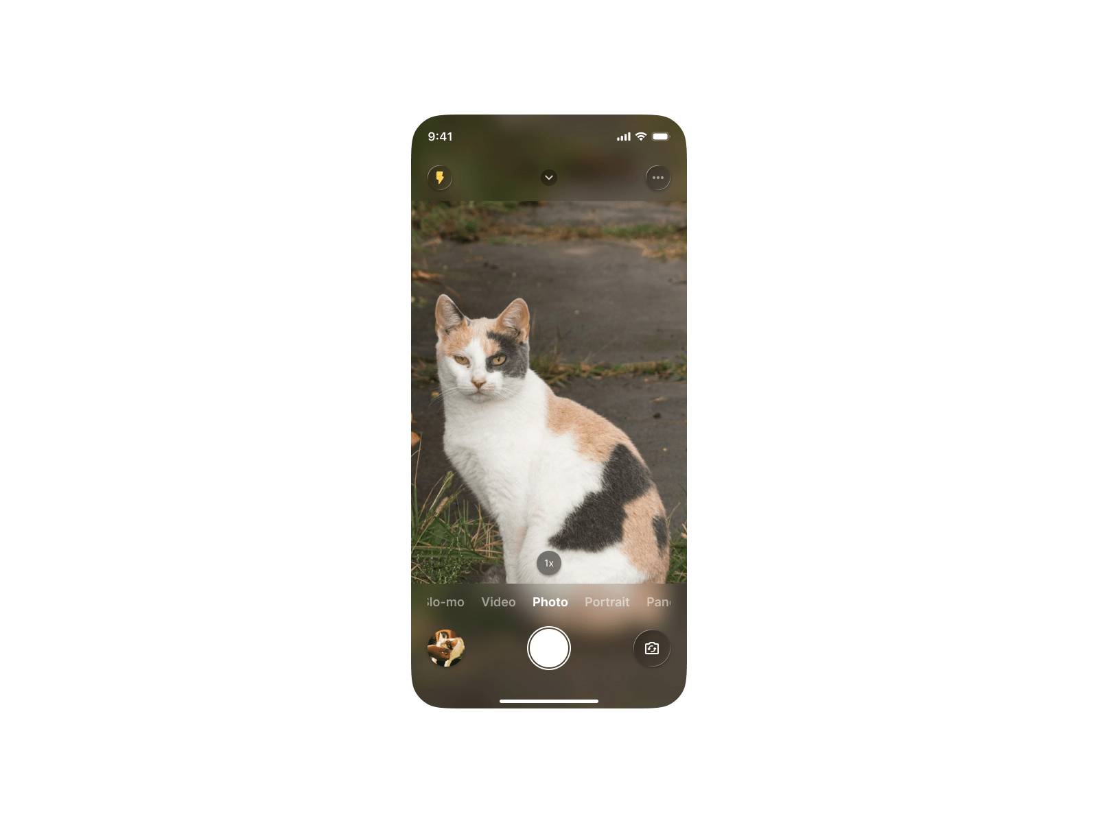 Daily UI Challenge #29