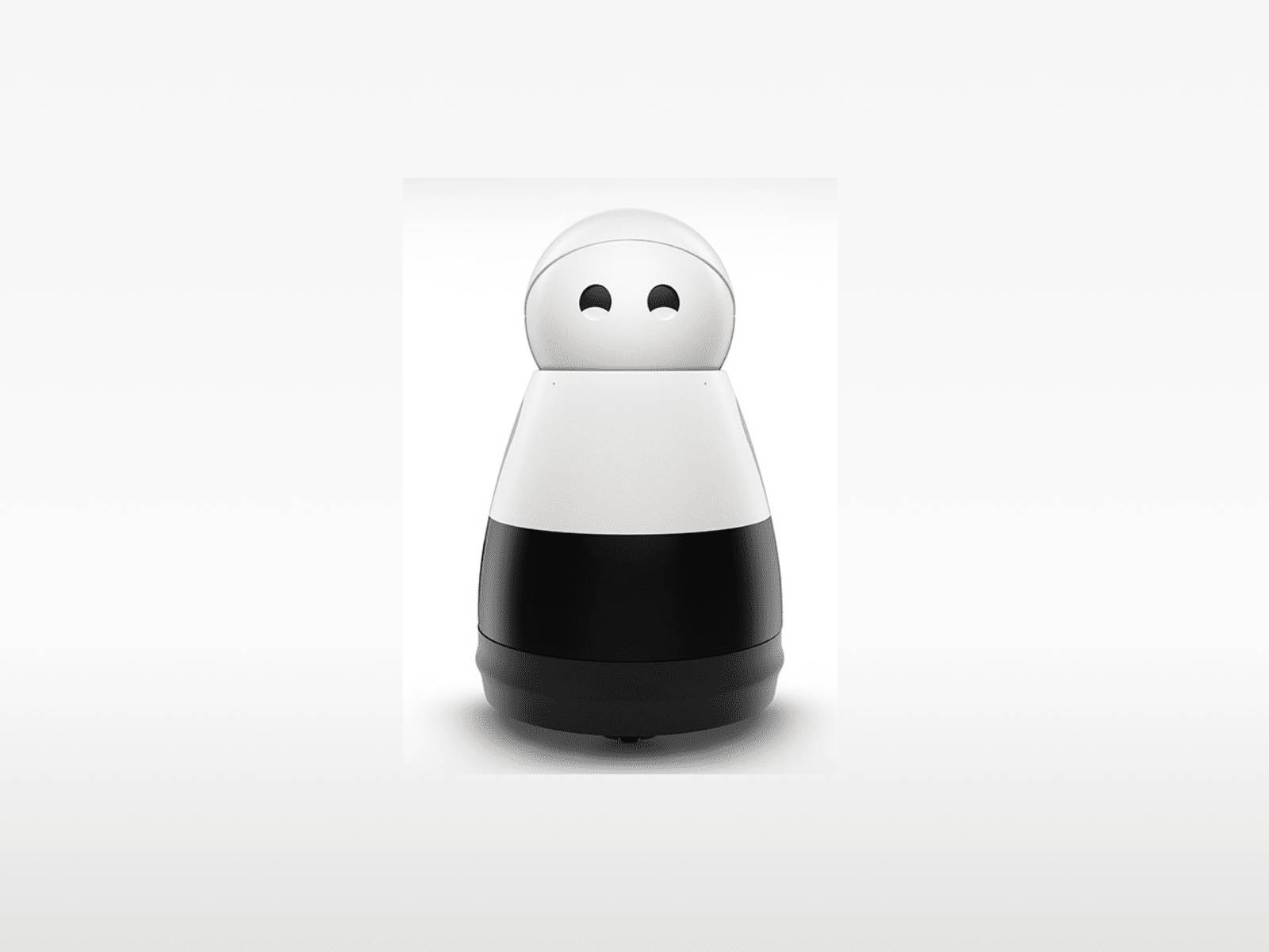19: Robot companion